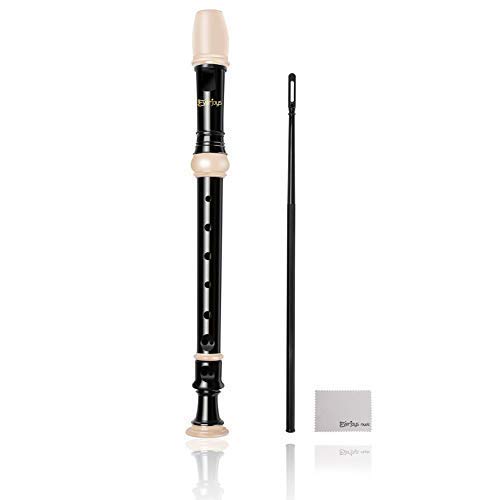 Enregistreur Soprano Descant 8 trous avec étui de tige de nettoyage Instruction